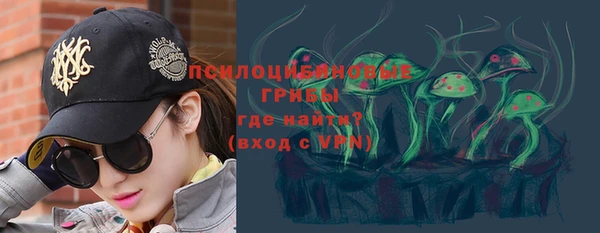 тгк Новокубанск