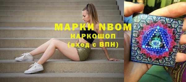 a pvp Новодвинск