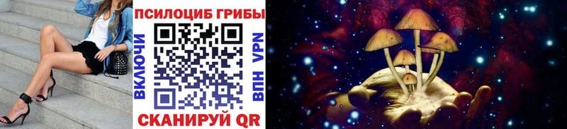 где найти наркотики  Кинешма  Псилоцибиновые грибы Psilocybine cubensis 