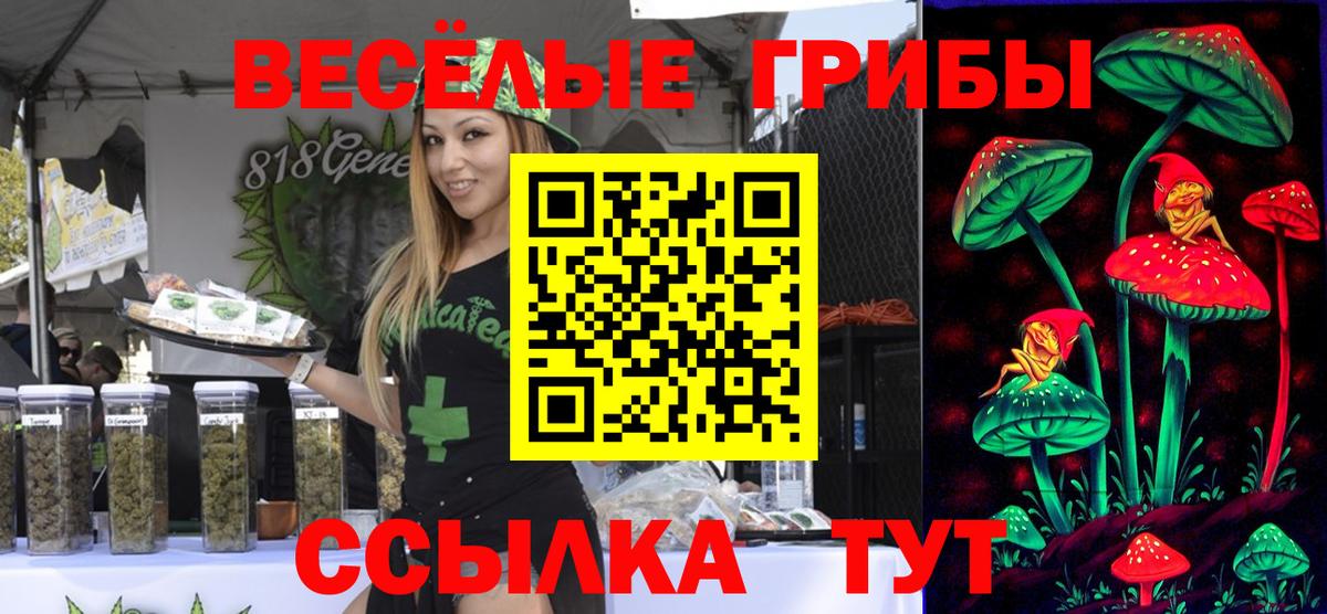 Псилоцибиновые грибы Magic Shrooms Кинешма