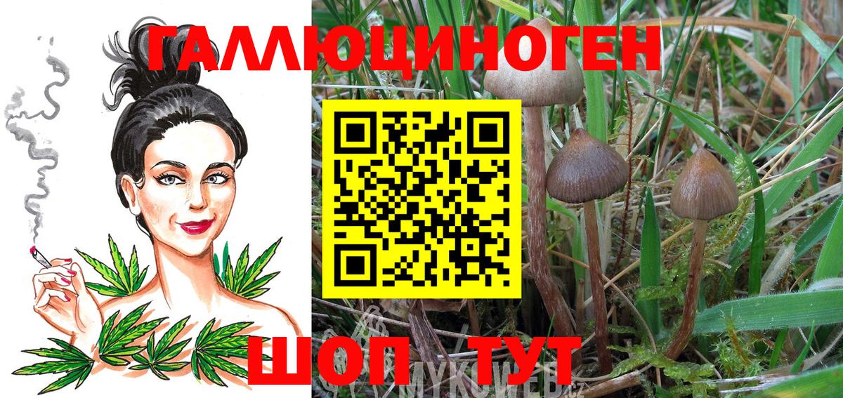 Конопля  Марки  Alpha-PVP  Меф  Кодеин  Вход с VPN  Кинешма  Гашиш 