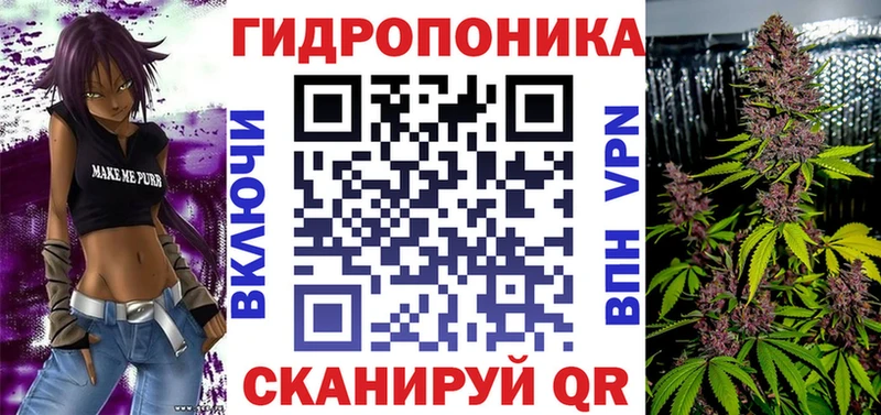 купить наркотики цена  Кинешма  Каннабис индика 